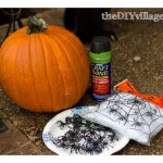 SpiderPumpkinitems