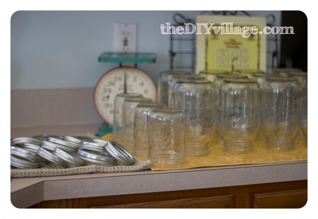 Canning Tomatoes