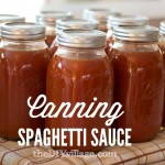 DIY Canning spaghetti sauce, home preserving step by step. #pressurecooking #tomatoes #spaghettisauce #canning #gardenfresh #garden #homegrown