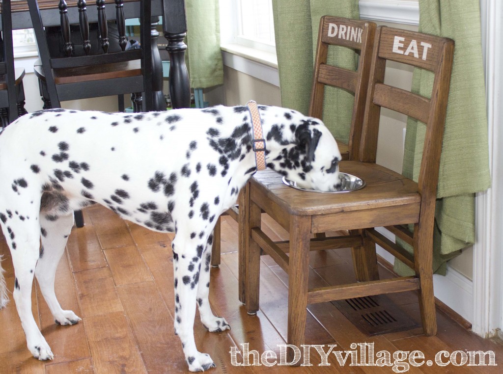 Elevated feeding station.  Perfect for large dogs, especially as they get older and bending to the ground becomes increasingly hard for them. 