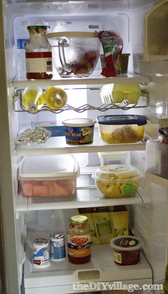 Fridge Before