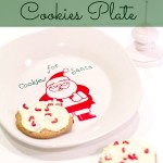 Santa's Cookie Plate