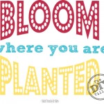 Bloom Where you are Planted - Printable