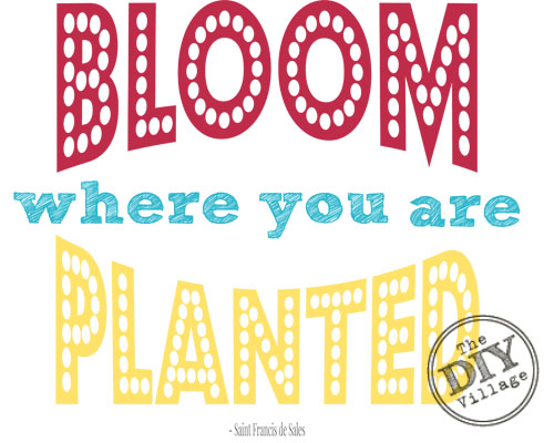 Bloom Where you are Planted - Printable