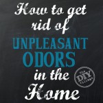How to get rid of unpleasant odors in your home