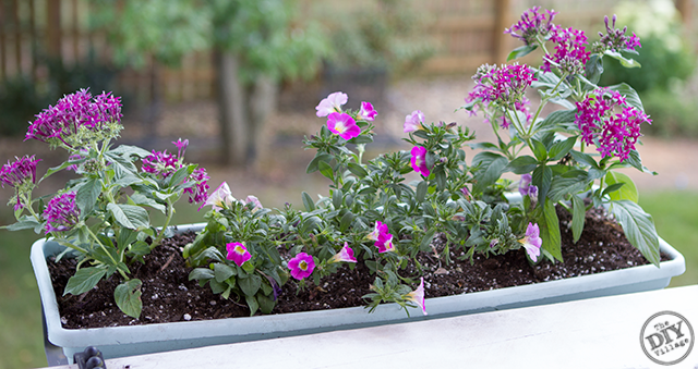 Updated Flower Box