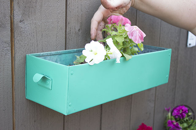 DIY Living Wall for your garden can be enjoyable year round depending on the types of plants that you use in the containers.