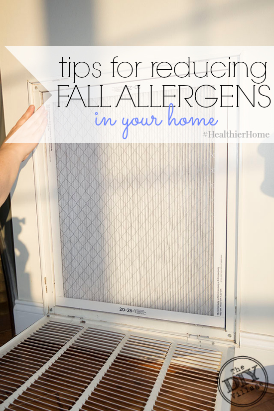 tips for reducing fall allergens in your home 