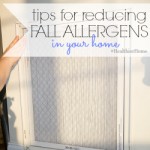 tips for reducing fall allergens in your home