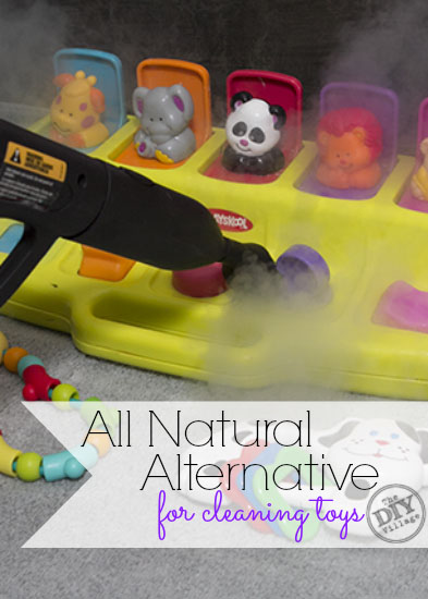 Natural Alternative For Cleaning Toys