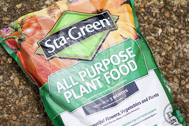 StaGreen Plant Food