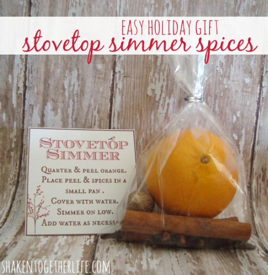 stovetop-simmer-spices-easy-holiday-gift-shakentogether