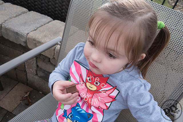 Family fun with fire pit s'mores. What a fun way to spend a crisp evening!